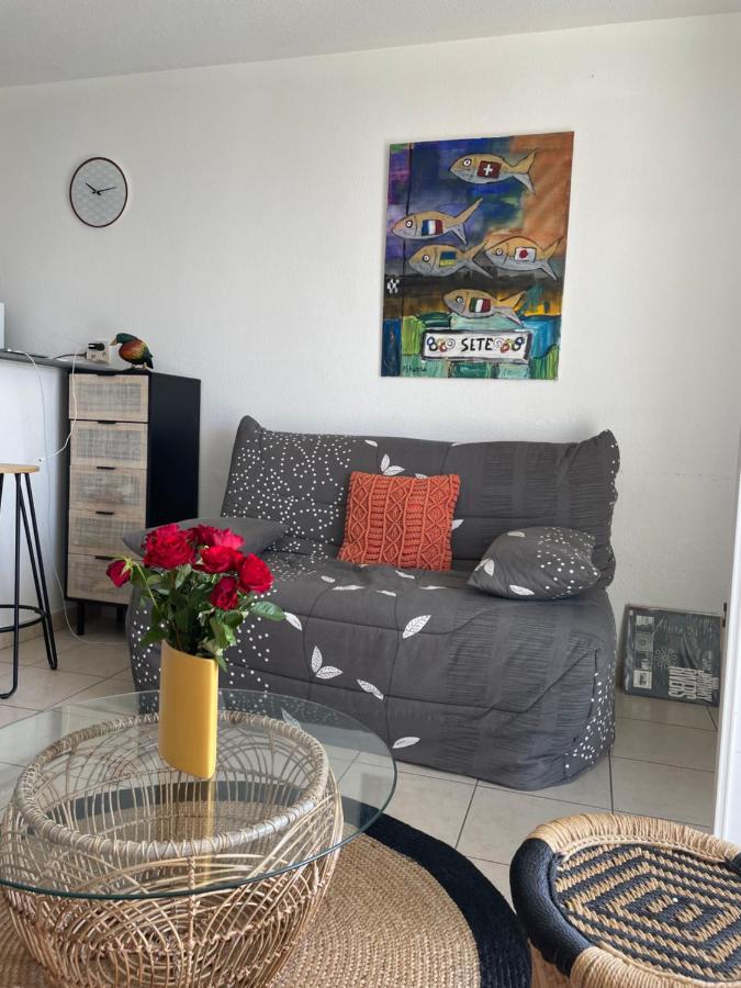 T2, Climatise, Wifi, Parking Et Piscine Prives Apartment *